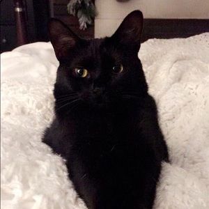 Meet your Posher, Marla